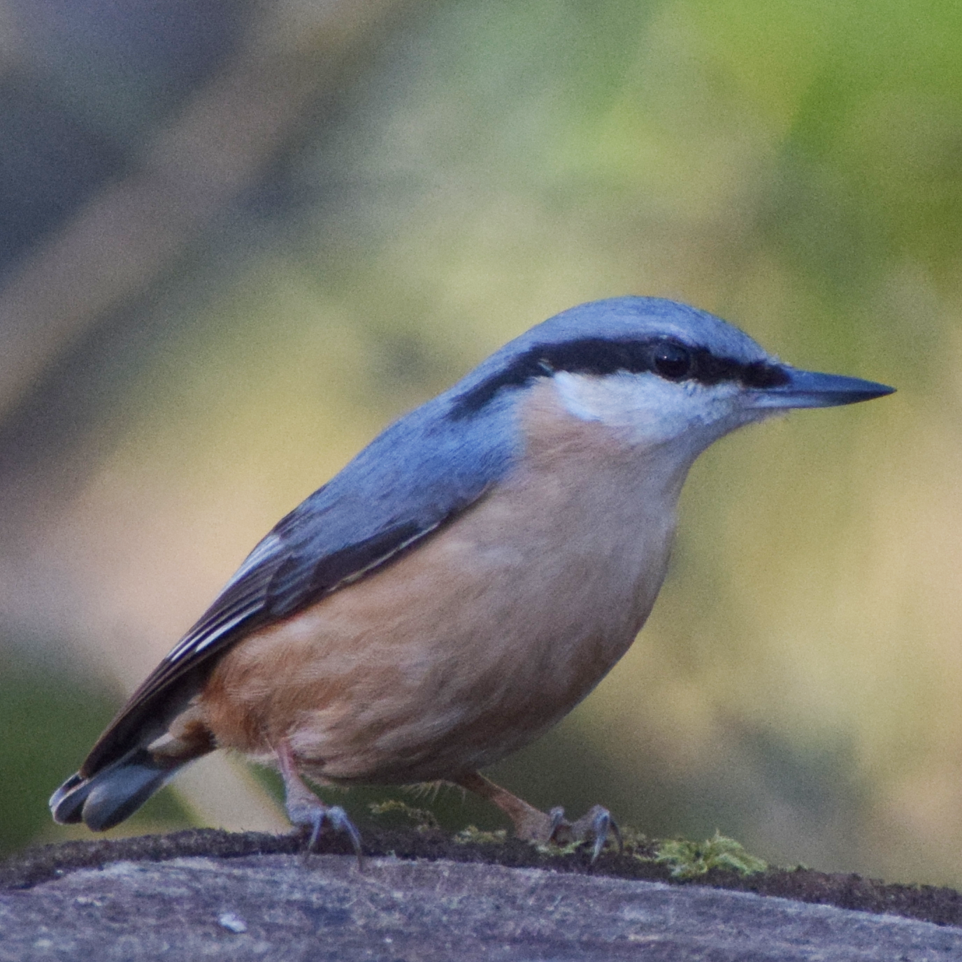 Favourite Nature Photography